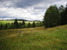 Pro zv�t�en� na fotografii klikn�te